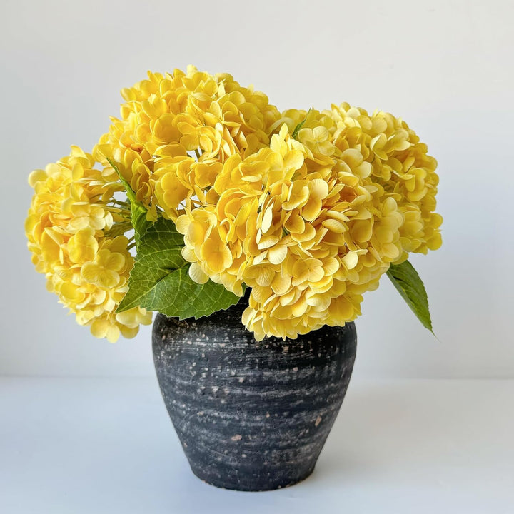 Yellow Hydrangea Flower Seeds for Planting Sunny Garden 100 pcs