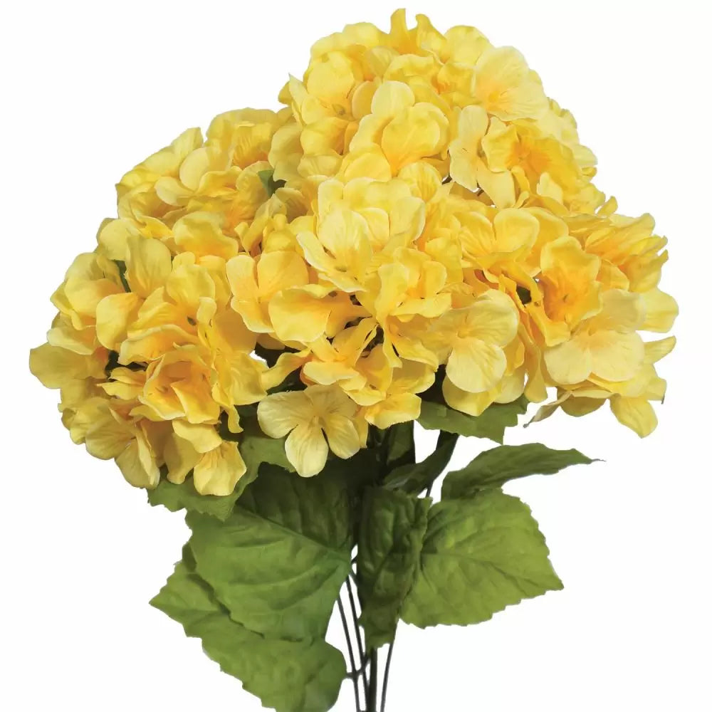 Gule hortensia blomsterfrø til plantning - 100 stk