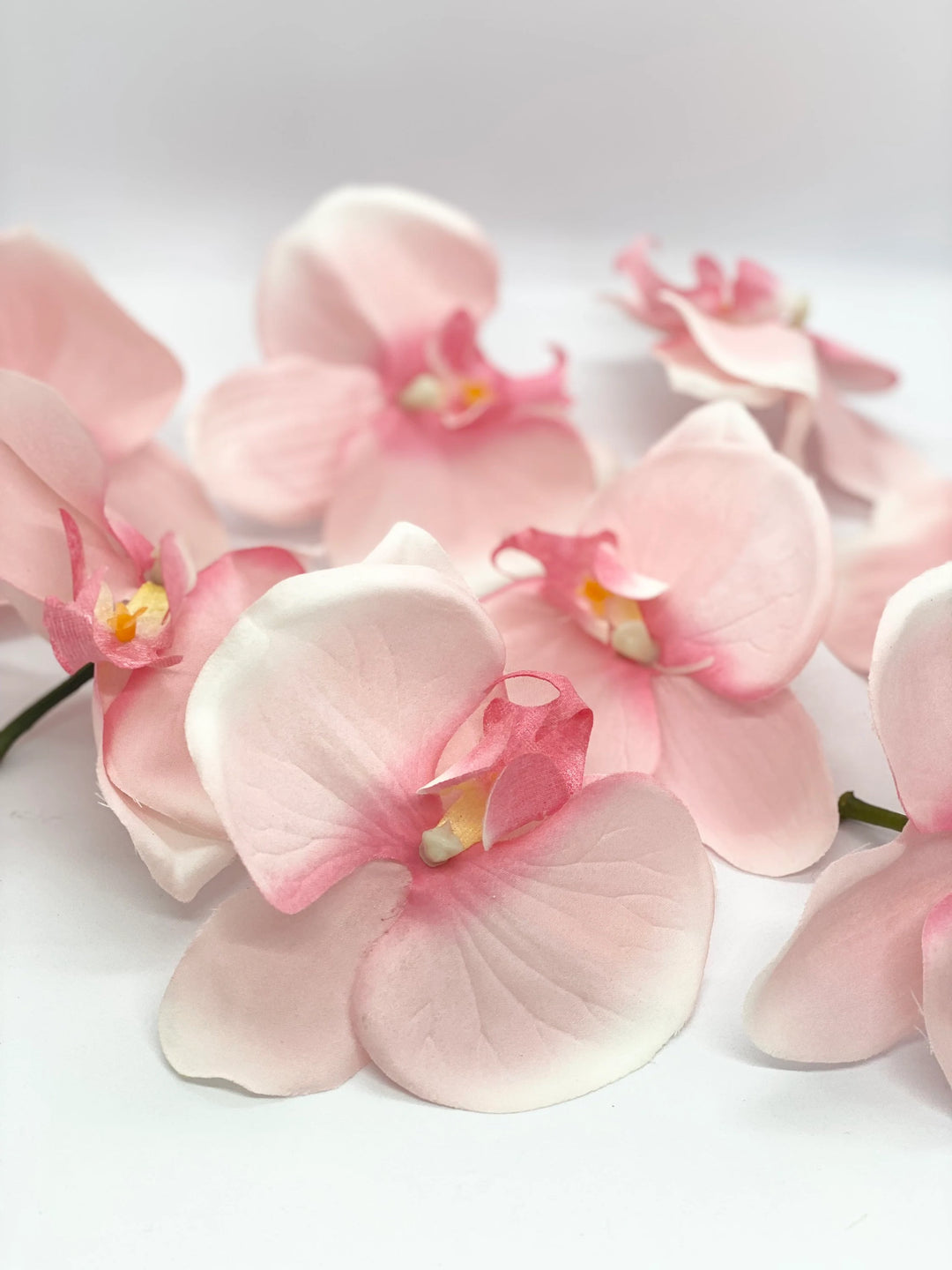 Pale Pink Orchid Flower Seeds – Heirloom Non-GMO Tropical Blooms for Elegant Garden Décor