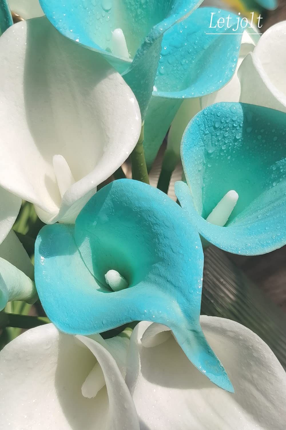 Sky Blue Calla Flower Seeds for Planting, 100 pcs