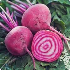 Chioggia Beet Seeds for Planting