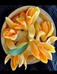 champa flower flower seeds