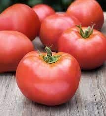Atkinson Tomato Vegetable Seeds