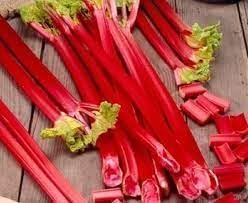 Rhubarbe Rouge Vegetable Seeds for Planting