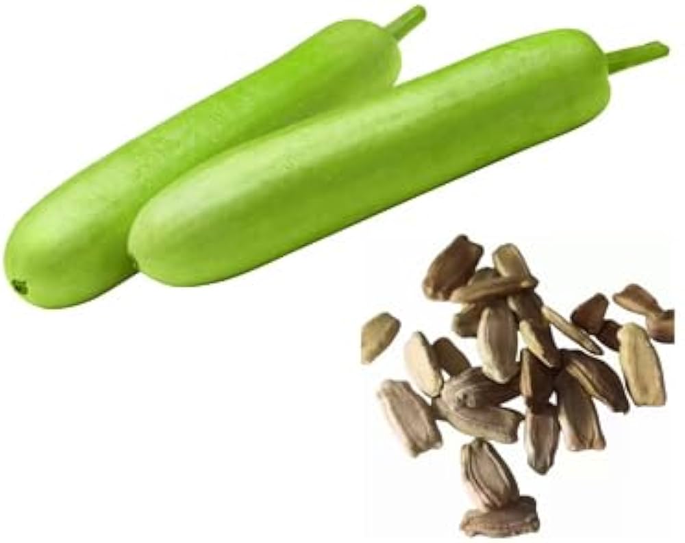 bottle gourd flower seeds