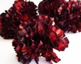 Flower Seeds, Seeds for Planting, Plant Seeds