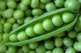 Fresh Peas Seeds for Planting | Heirloom, Non-GMO, High Germination Organic Garden Seeds
