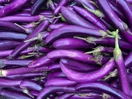 Eggplant Gourmet Vegetable Seeds for Planting
