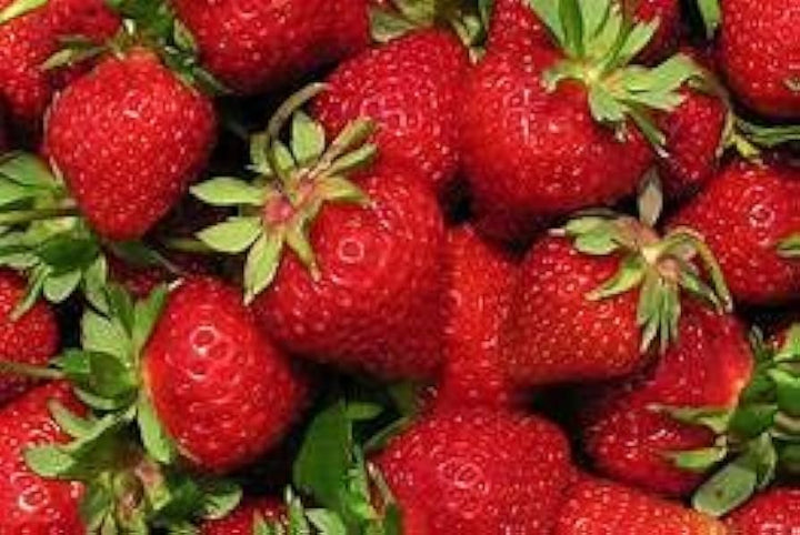 Japanese Hokowase Strawberry Fruit Seeds - Premium Quality, Non-GMO  100 pcs