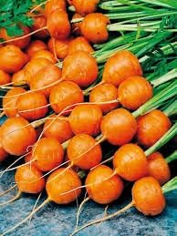 Parisian Carrot Seeds for Planting