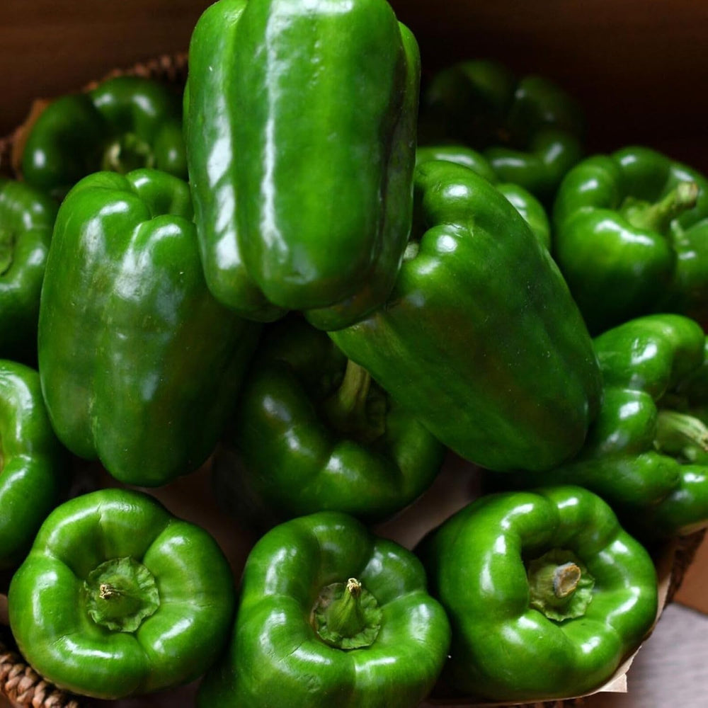 Cal Wonder Sweet Pepper Seeds for Planting