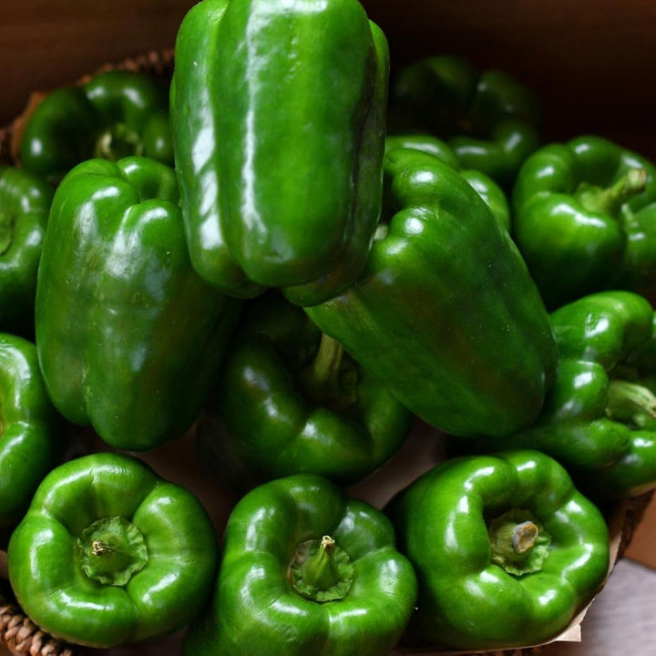 Cal Wonder Sweet Pepper Seeds for Planting