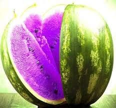 Purple Watermelon Fruit Seeds for Planting - Unique, Sweet, and Refreshing for Your Garden