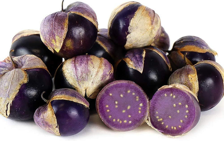 Organic Purple Tomatillo Seeds for Planting