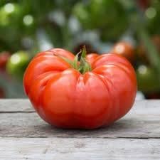 Mexican Silly Tomato Vegetable Seeds for Planting