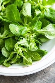 Lamb Lettuce Vegetable Seeds for Planting