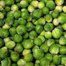Brussels Sprouts Cabbage Seeds for Planting