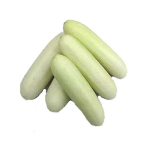 Indian White Cucumber Seeds for Planting – Heirloom, Non-GMO, High-Yield Vegetable Seeds for Home Garden