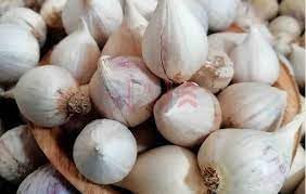 Clove Garlic Vegetable Seeds
