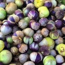 Heirloom Milpero Purple Tomatillo Vegetable Seeds