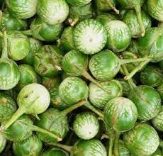 Thai Eggplant Vegetable Seeds for Planting