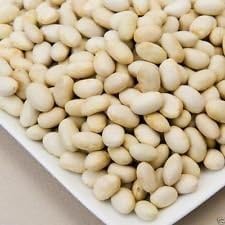 White Marrow Bean Seeds for Planting