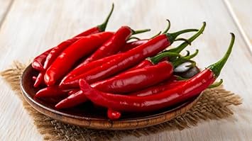 Salkim Biber Pepper Seeds for Planting