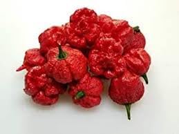 Hurt Berry Pepper Seeds for Planting