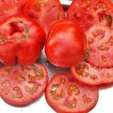 Girl Tomato Seeds for Planting