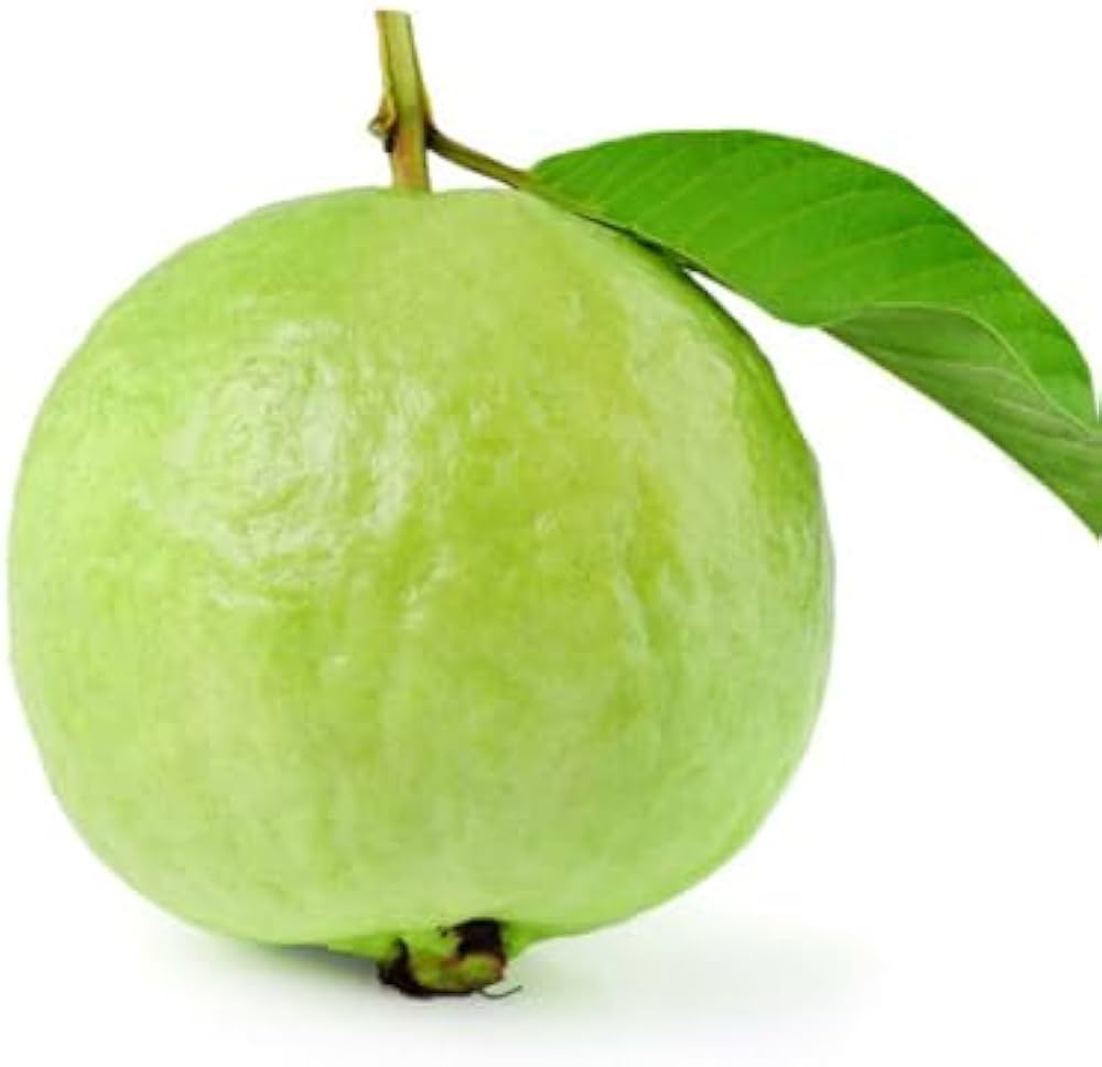 Guava frugtfrø til plantning af tropiske guavaer fulde af smag 100 stk