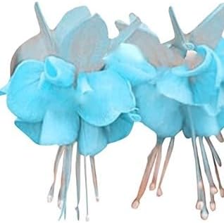 Flower Seeds, Seeds for Planting, Plant Seeds