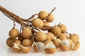 plant longan seed Black Mission Fig Seeds – Heirloom Non-GMO Fruit Seeds for Garden Planting 100 pcs