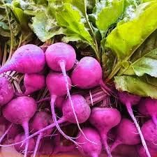 Purple Rainbow Radish Seeds for Planting