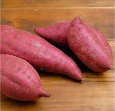 Sweet Potato Seeds for Vegetable Planting