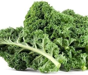 Heirloom Non-GMO Siberian Kale Vegetable Seeds for Planting