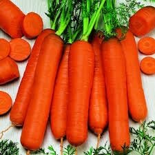 Carrot Autumn Seeds for Planting | Heirloom, Non-GMO, High Germination Organic Garden Seeds