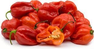 Heirloom Non-GMO Scotch Bonnet Pepper Vegetable Seeds