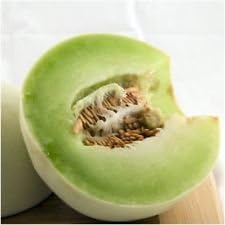 Green Honeydew Melon Seeds for Planting