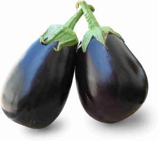 Floriculture Greens 'Big Gajraj' Eggplant Seeds for Home Gardening - 100 pcs