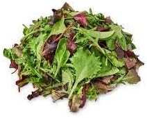 Mesclun Lettuce Seeds for Planting