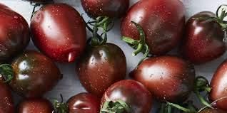 Dark Maroon Tomato Seeds for Planting