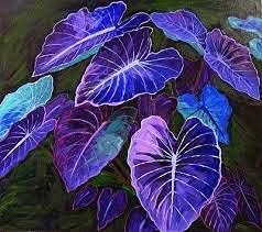 blue caladium flower seeds