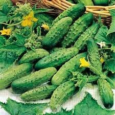 Vegetable Seeds, Seeds for Planting, Plant Seeds