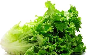 Lettuce Vegetable Seeds for Planting | Heirloom, Non-GMO, High Germination Organic Garden Seeds