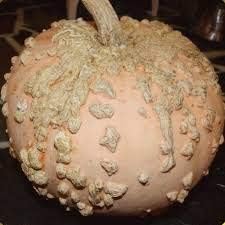 Cream Pumpkin Vegetable Seeds for Planting