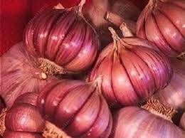 Dark Pink Garlic Herb Seeds for Planting