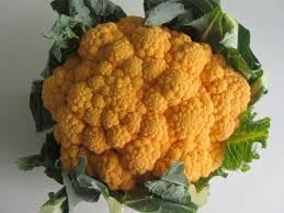 Orange Cauliflower Vegetable Seeds for Planting
