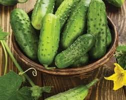 Cucumber Lyalyuk Mini Pickling Vegetable Seeds for Planting