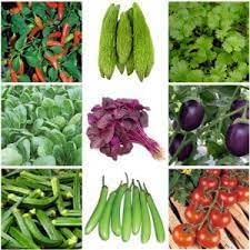 Vegetable Seeds, Seeds for Planting, Plant Seeds