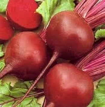 Beet Detroit Vegetable Seeds for Planting